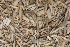 biomass boilers Llanfachreth